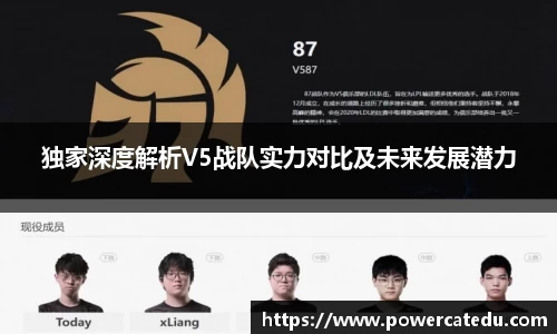 独家深度解析V5战队实力对比及未来发展潜力